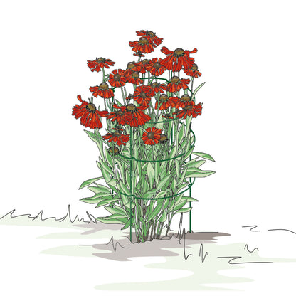 bellissa Staudenstütze FALTER:43,5 x B 43,5 x H 78 cm, grün