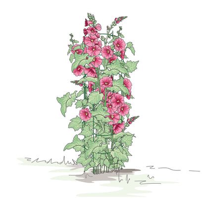 bellissa Rankgitter Verbinder für Staudenstütze FALTER (4er Set); L 13x B 1 x H 15 cm, Pulver besch., 1.5 mm verz.