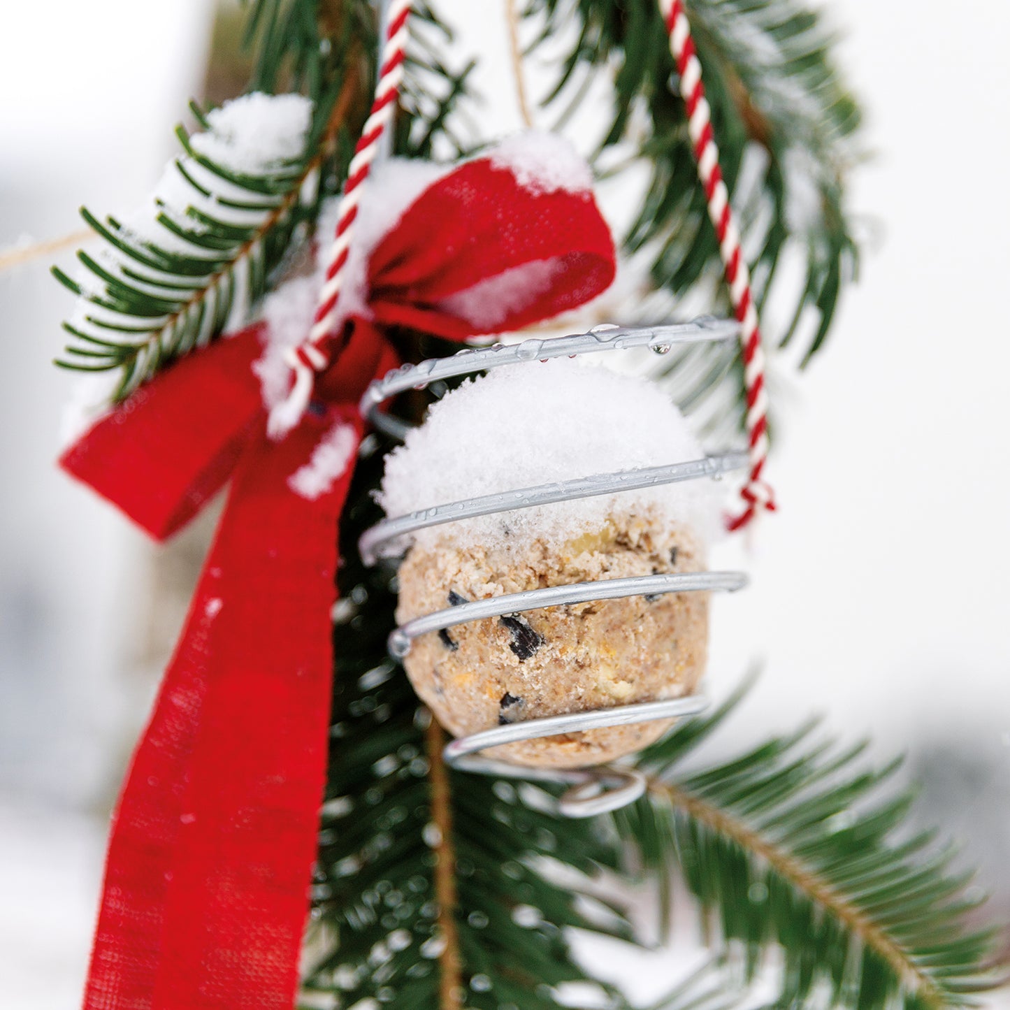 bellissa Meisenknödelhalter 2er Set