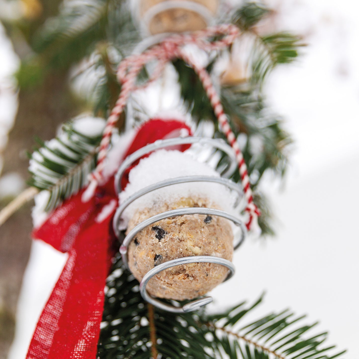 bellissa Meisenknödelhalter 2er Set