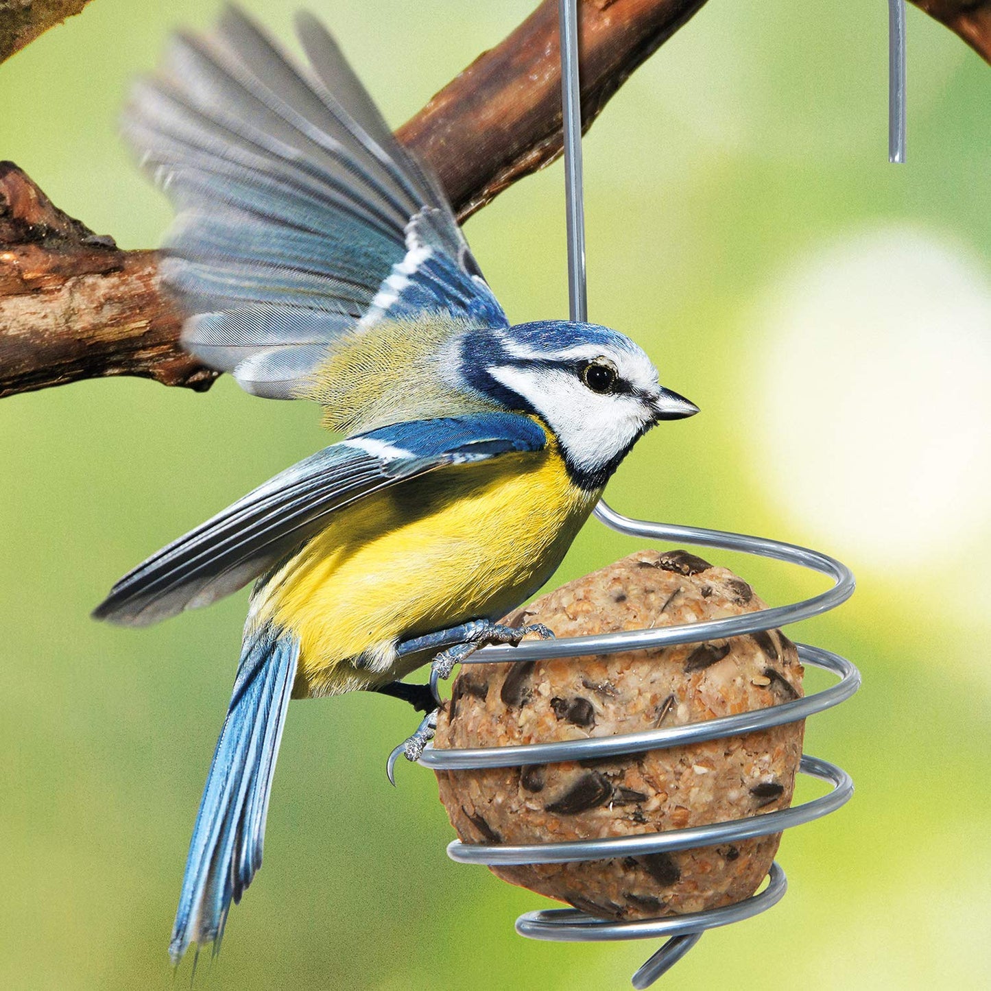 bellissa Meisenknödelhalter 2er Set