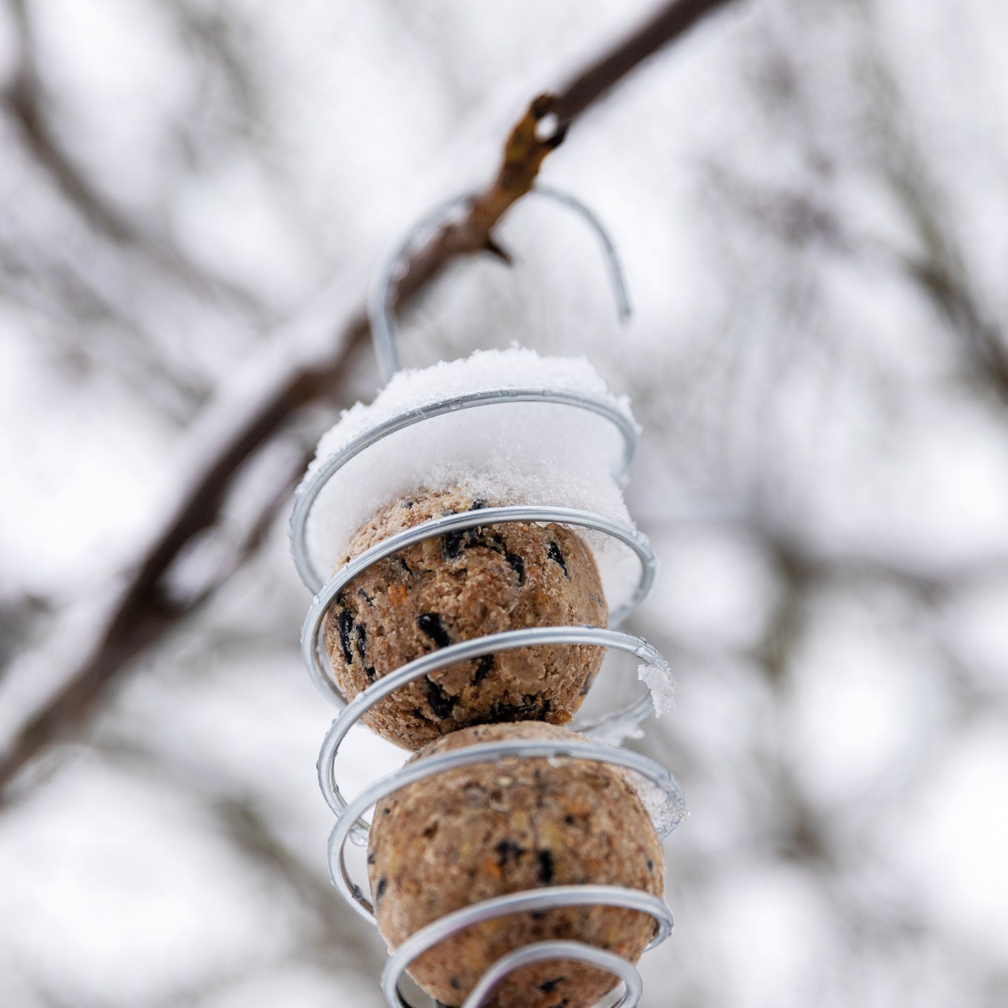GartenAZ Meisenknödelhalter Doppelknödel (Groß) 2er Set