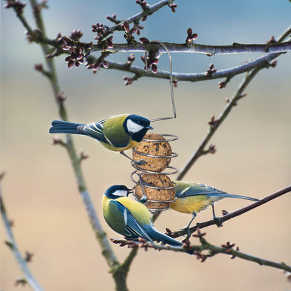 GartenAZ Meisenknödelhalter Doppelknödel (Groß) 2er Set