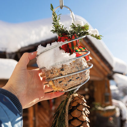 bellissa Meisenknödelhalter XL, L12x B12 x H22 cm, 4mm, Stahl verzinkt