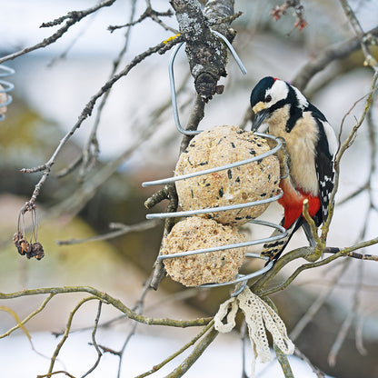 bellissa Meisenknödelhalter XL, L12x B12 x H22 cm, 4mm, Stahl verzinkt