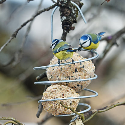 bellissa Meisenknödelhalter XL, L12x B12 x H22 cm, 4mm, Stahl verzinkt