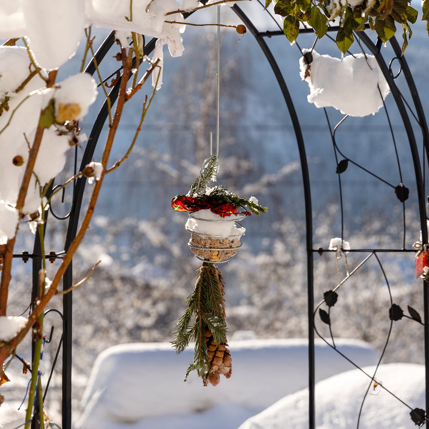 bellissa Meisenknödelhalter XL, L12x B12 x H22 cm, 4mm, Stahl verzinkt