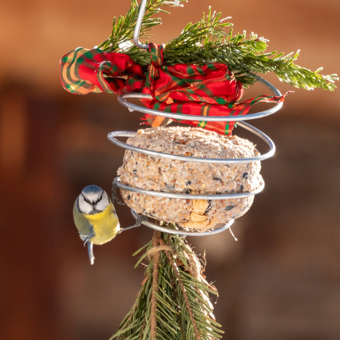 bellissa Meisenknödelhalter XL, L12x B12 x H22 cm, 4mm, Stahl verzinkt