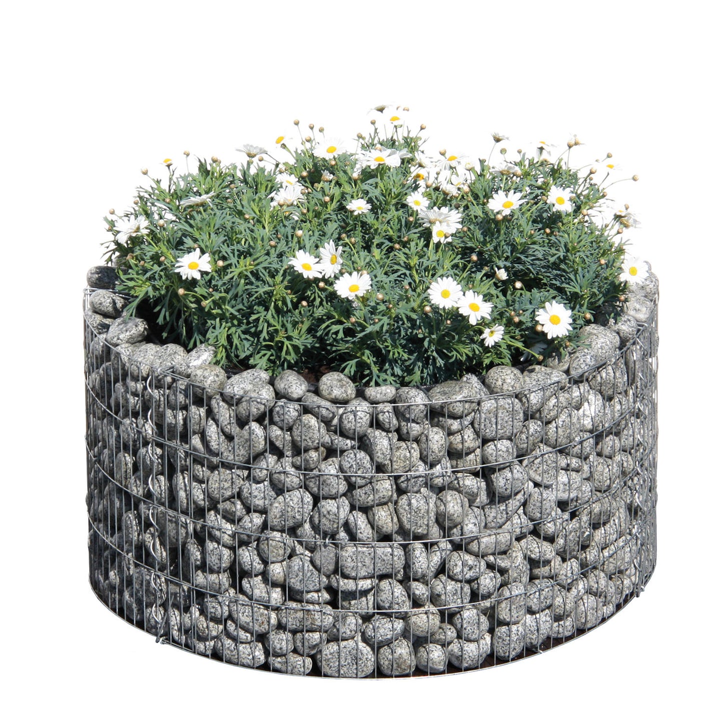 bellissa Hochbeet Basic rund inkl. Trennfolie Ø 81/67 H 40 cm - ID: 67831798563190