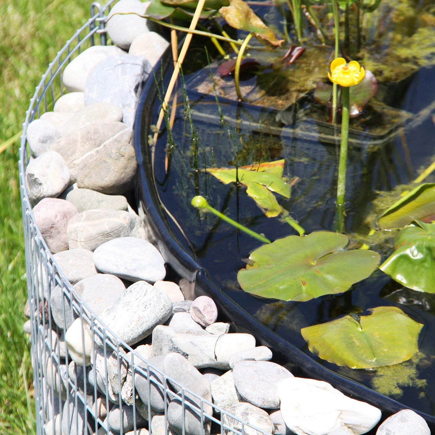 bellissa Hochteich Bausatz inkl. Teichfolie, Trennvlies Ø146/126 cm H 40 cm - ID: 67832230478198