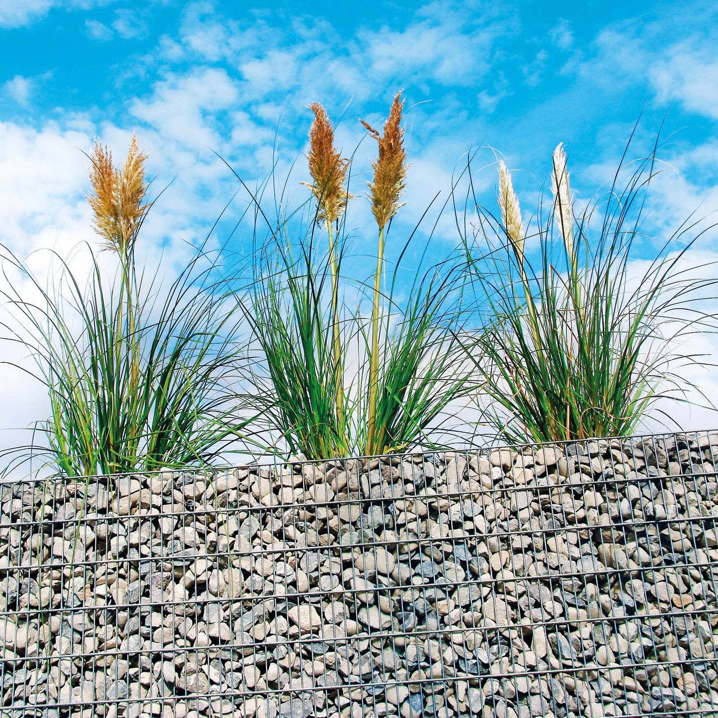 bellissa Hochbeet "premium" eckig inkl. Trennfolie 200x75xH=100 cm