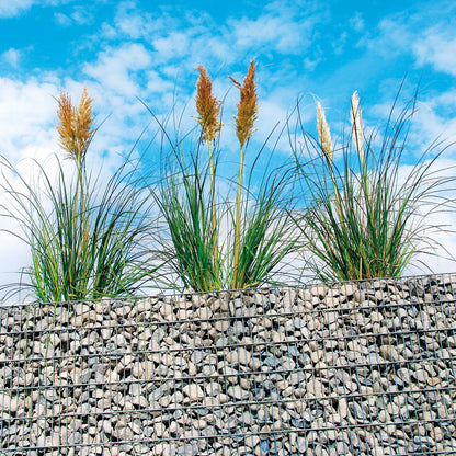 bellissa Hochbeet "premium" eckig inkl. Trennfolie 200x75xH=100 cm