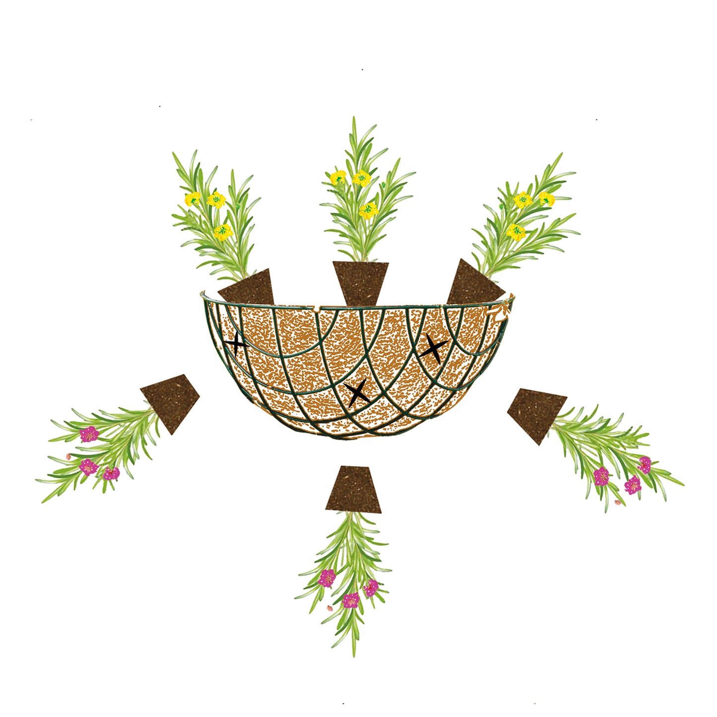 bellissa Hanging Basket Ø30cm inkl. Kokoseinsatz
