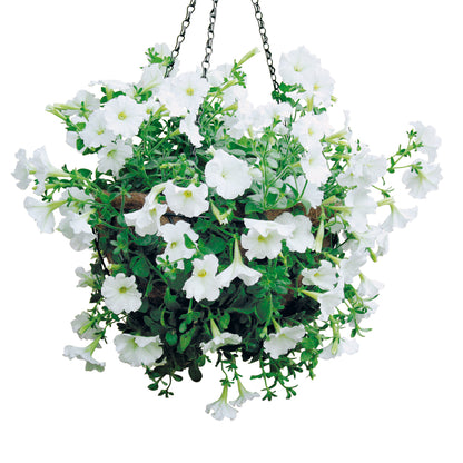 bellissa Hanging Basket Ø30cm inkl. Kokoseinsatz