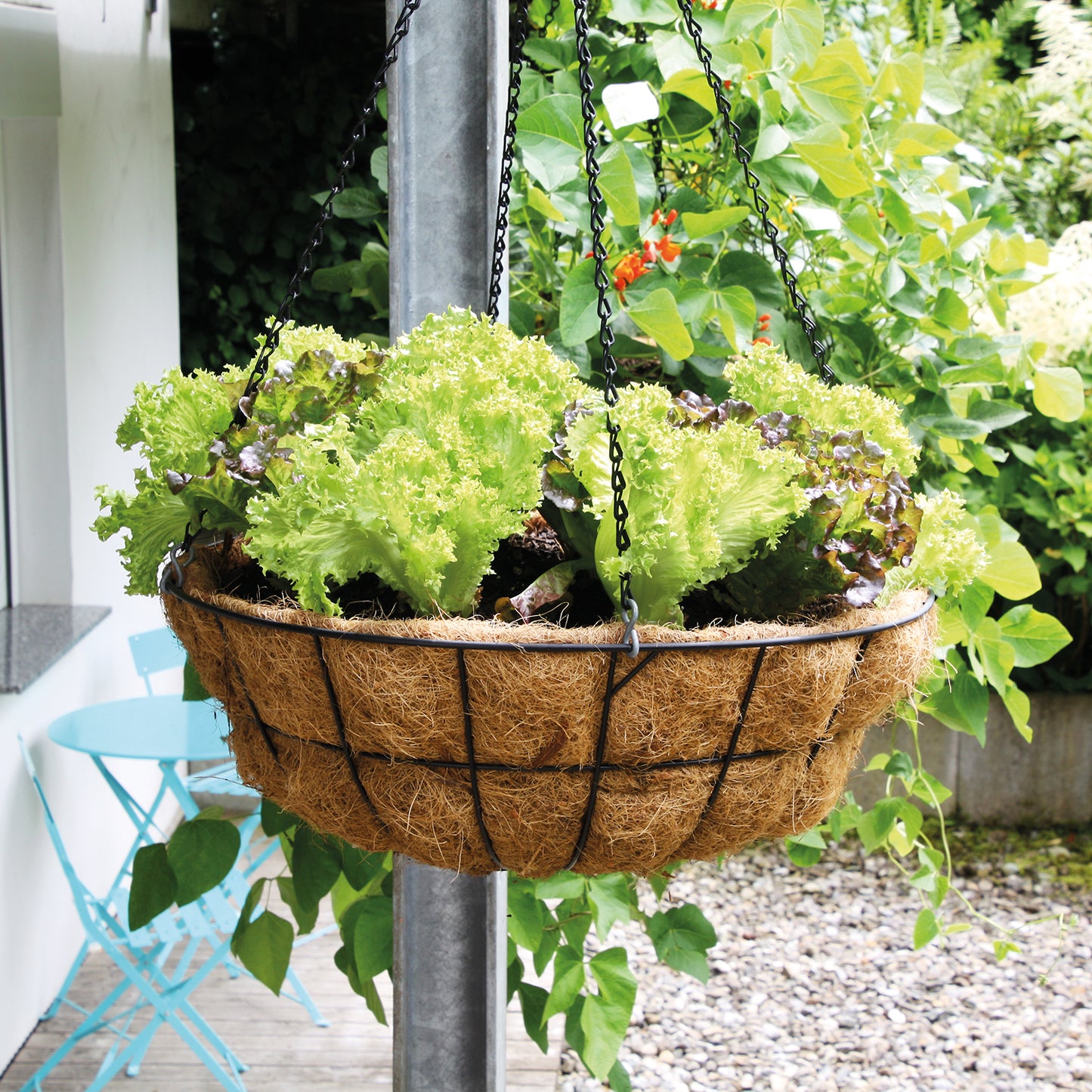 bellissa Hanging Basket inkl. Kokoseinsatz Ø55cm