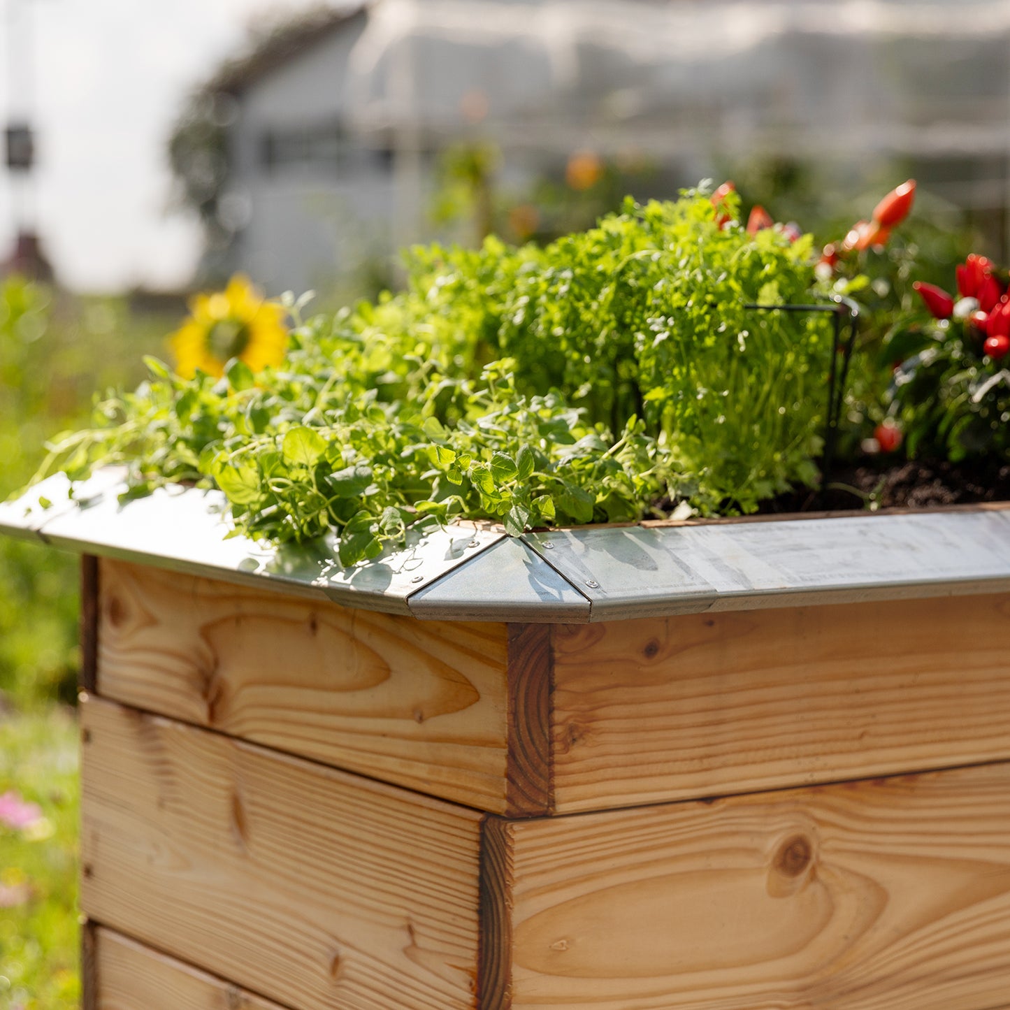 bellissa Schneckenblech für Hochbeete S verzinkt, Länge 50 cm