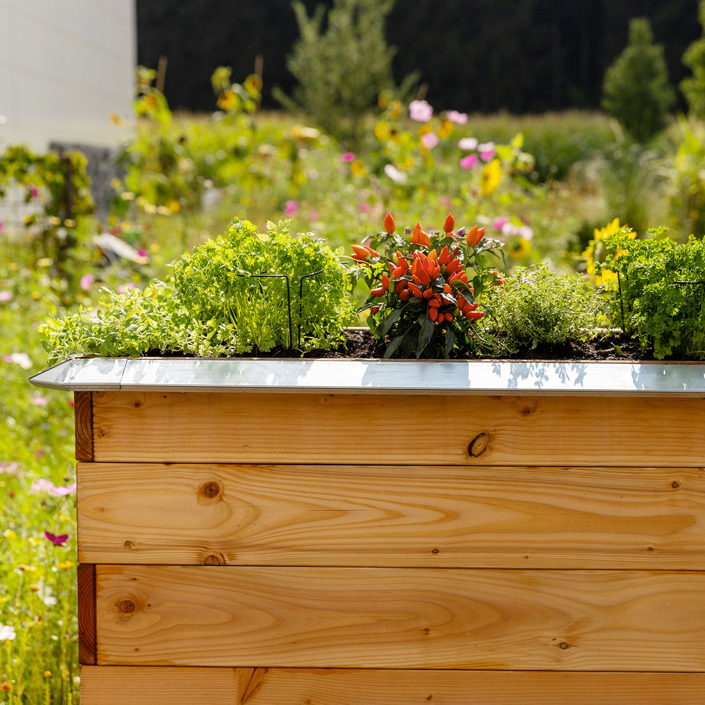 bellissa Schneckenblech für Hochbeete L verzinkt, Länge 95 cm