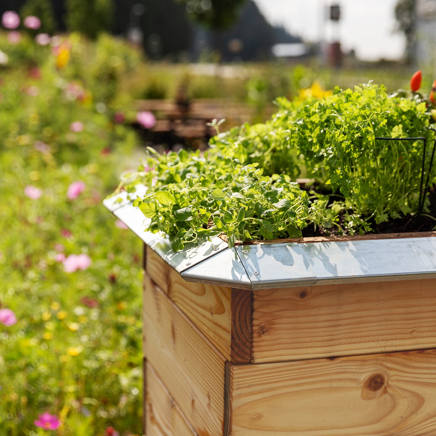 bellissa Schneckenblech für Hochbeete L verzinkt, Länge 95 cm