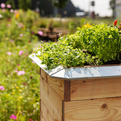 bellissa Schneckenblech für Hochbeete L verzinkt, Länge 95 cm