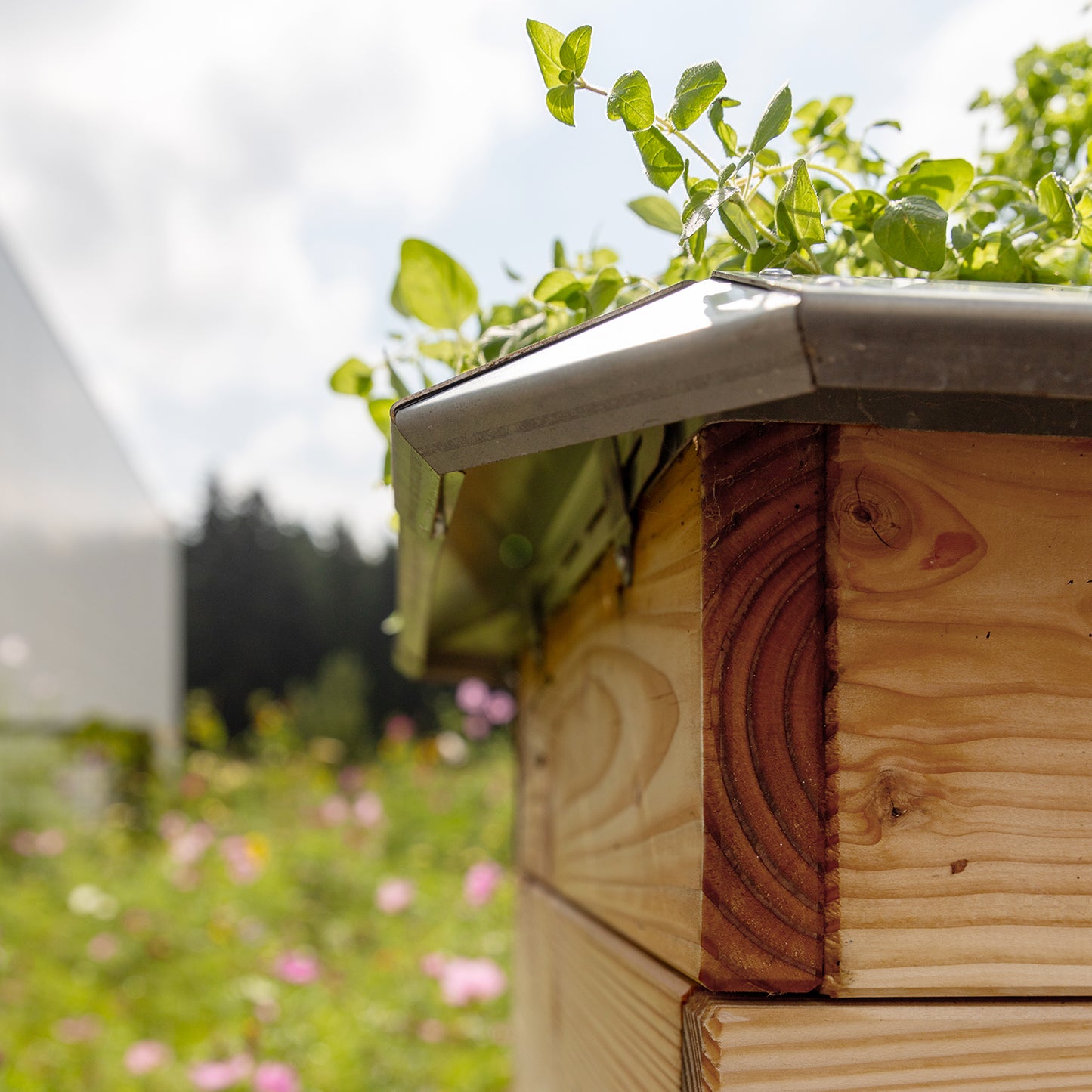 bellissa Schneckenblech für Hochbeete L verzinkt, Länge 95 cm