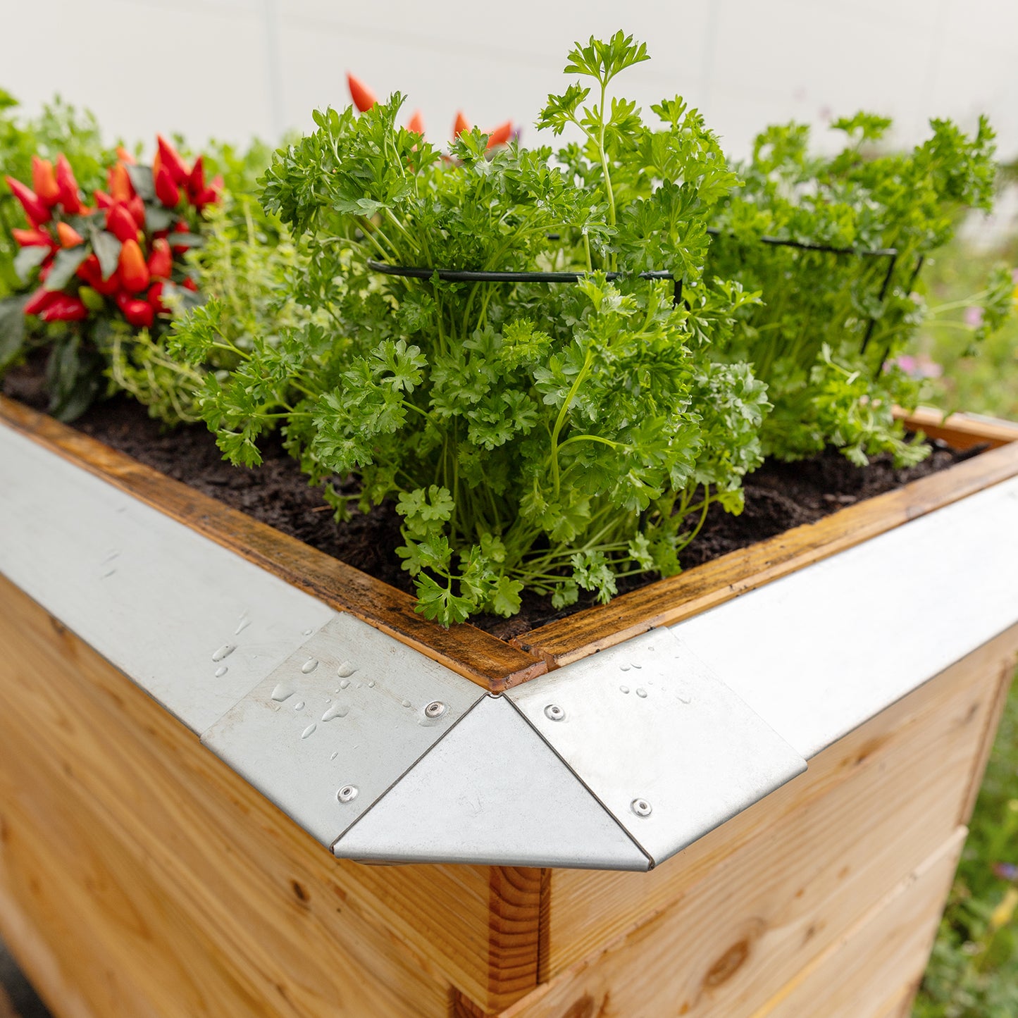 bellissa Schneckenblech für Hochbeete L verzinkt, Länge 95 cm