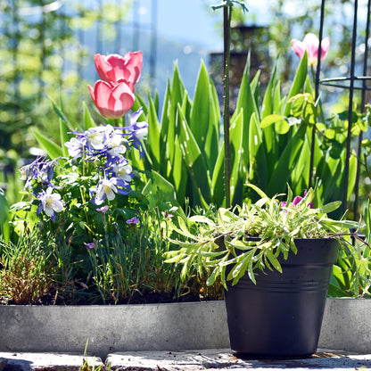 bellissa Rasenkante Kreis Ø 40 cm H13 cm verzinkt