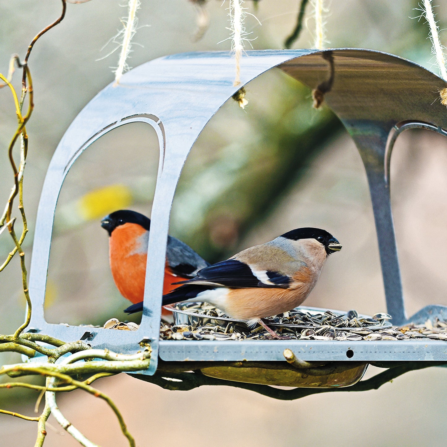 bellissa Vogelhaus SPATZI, L25,5 x B20 x H19,5 cm, 1mm, Stahl verzinkt