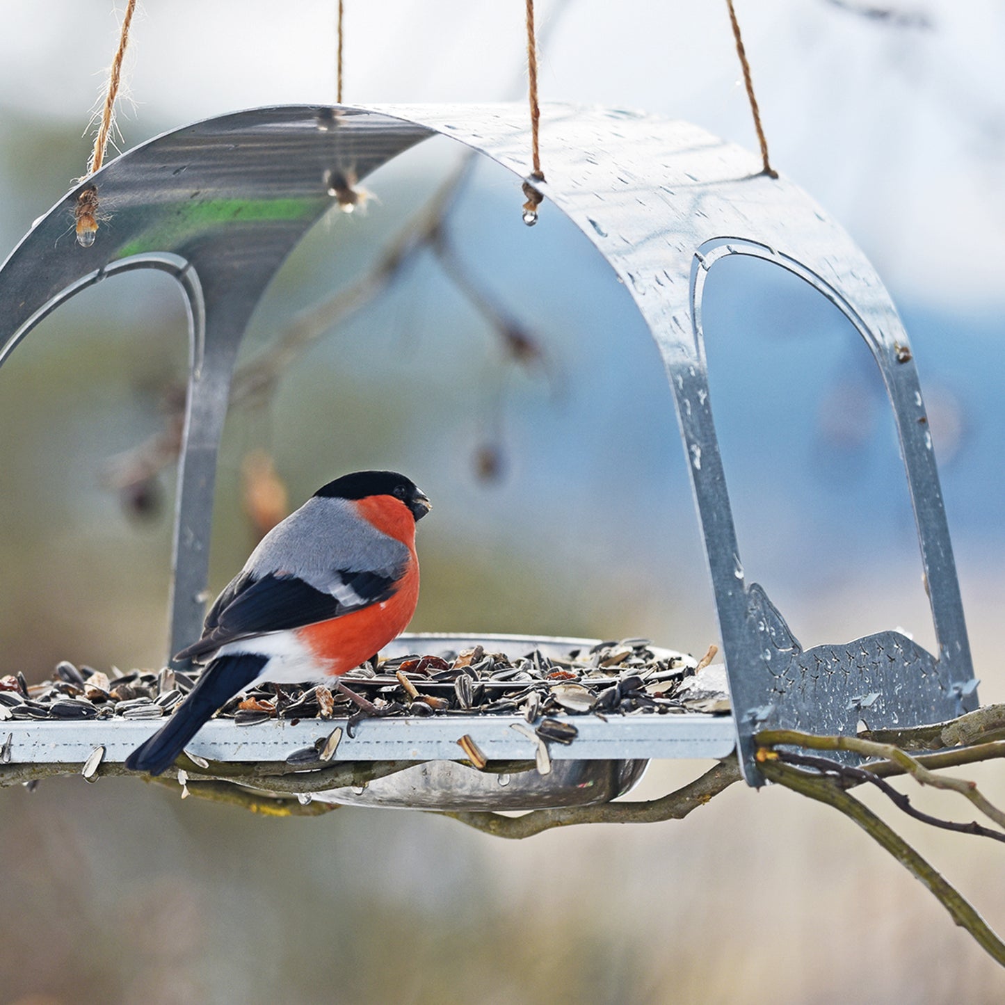 bellissa Vogelhaus SPATZI, L25,5 x B20 x H19,5 cm, 1mm, Stahl verzinkt