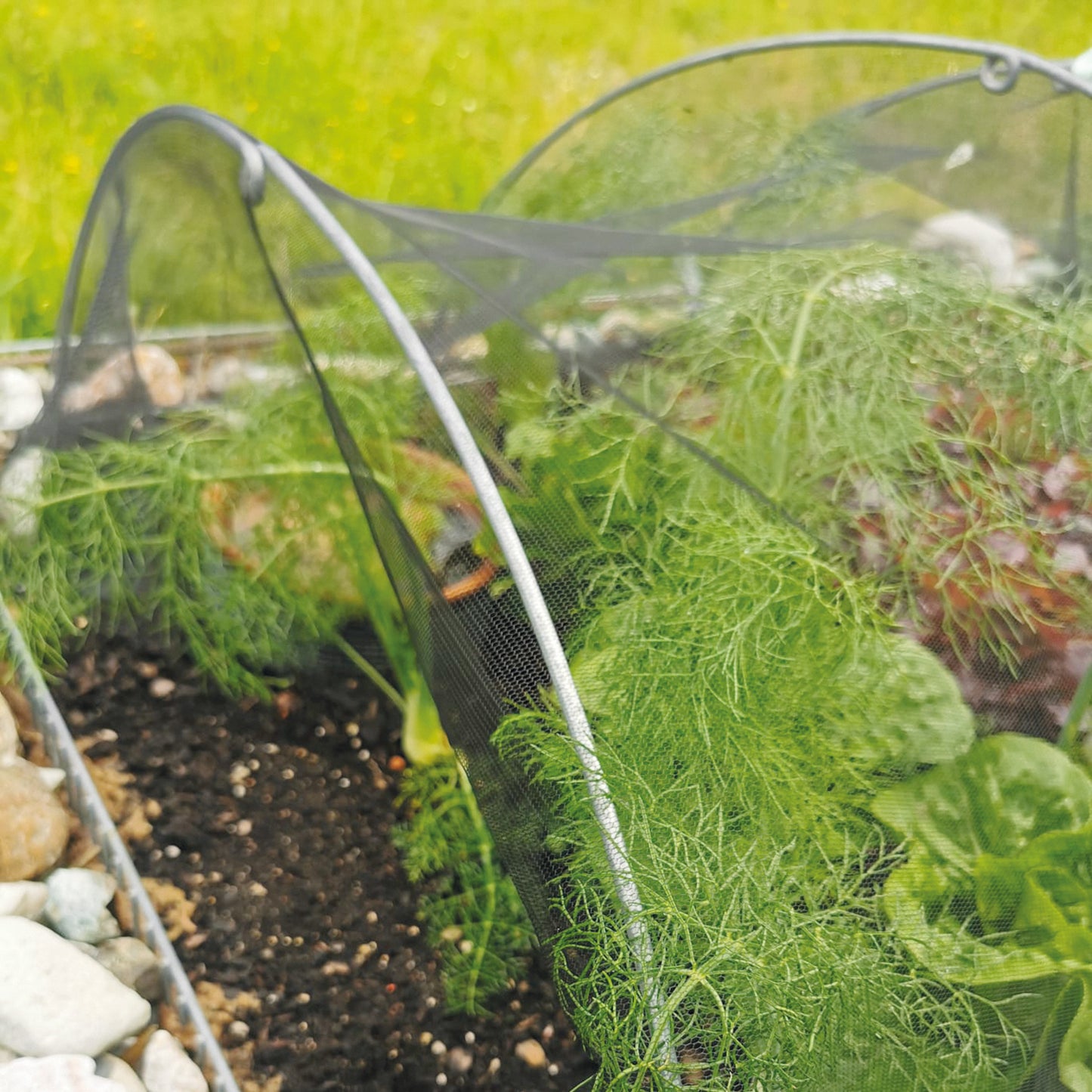 bellissa Tunnelbogen (3er Set), L100 x B1,2 x H50 cm, 6mm, Stahl, verzinkt