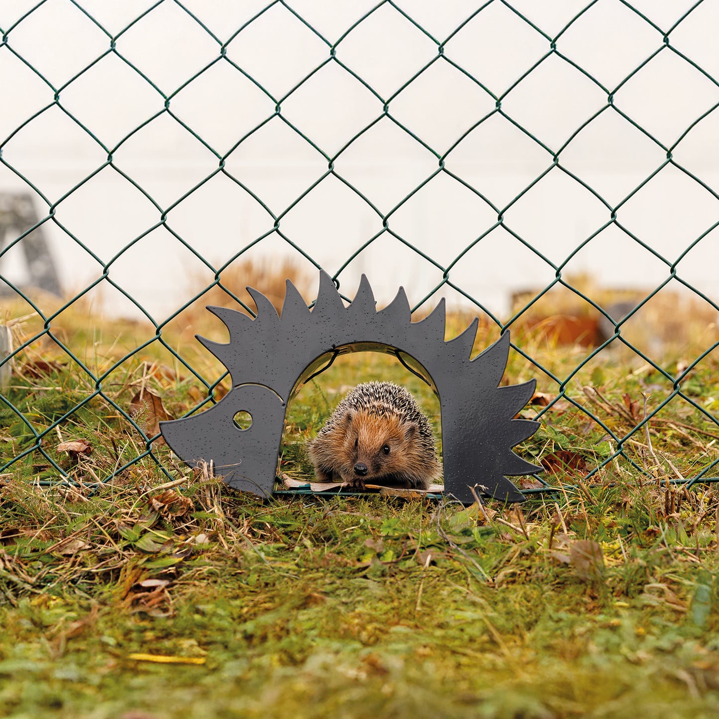 bellissa Igeltor PETZI anthrazit L31,5 x B5 x H19 cm, 1 mm, Stahl, verzinkt, Pulver beschichtet