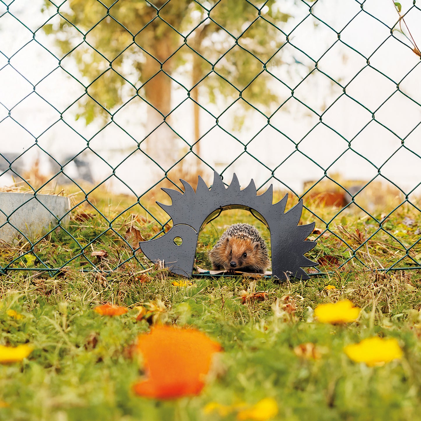 bellissa Igeltor PETZI anthrazit L31,5 x B5 x H19 cm, 1 mm, Stahl, verzinkt, Pulver beschichtet