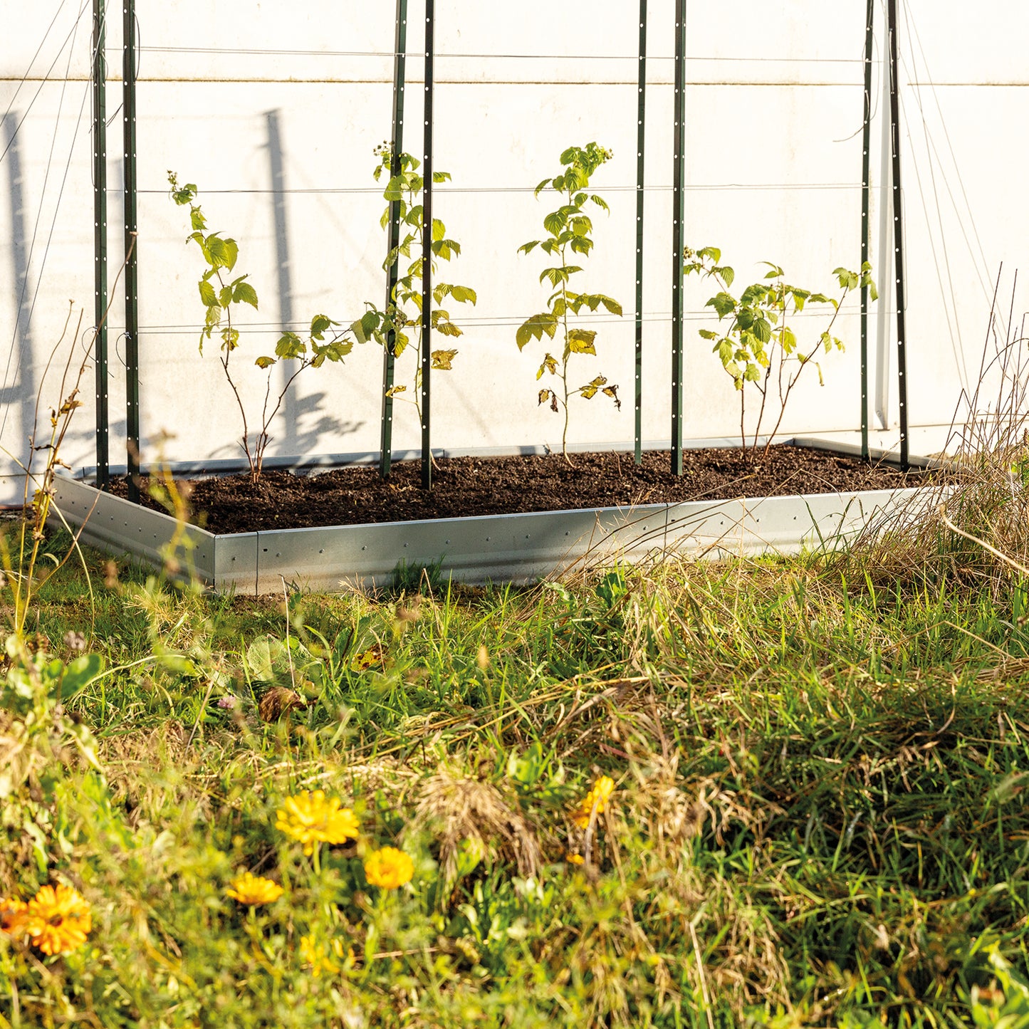 bellissa Beeteinfassung Pro 13 - L 103 x B 1 x H  13 cm, 1 mm verzinkter Stahl