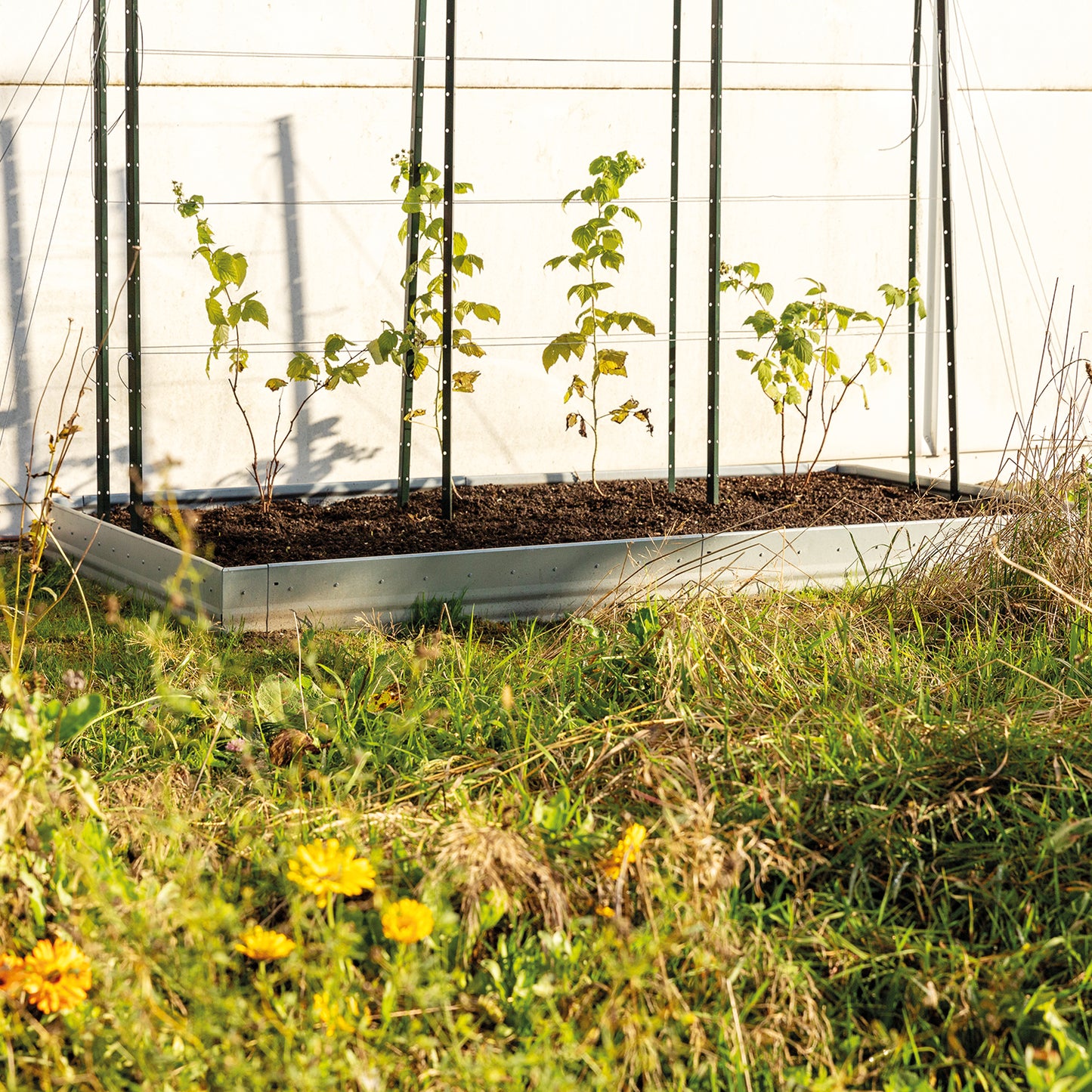 bellissa Beeteinfassung Pro 20; L 103 x B 1 x H 20 cm, 1 mm verzinkter Stahl