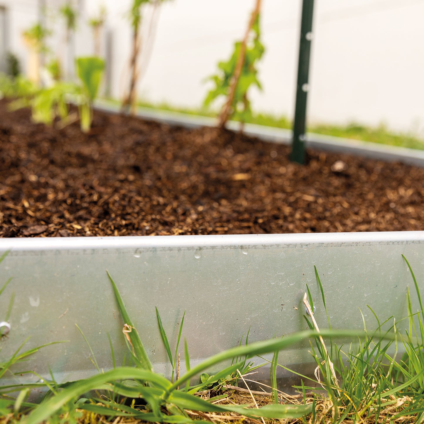 bellissa Beeteinfassung Pro 20; L 103 x B 1 x H 20 cm, 1 mm verzinkter Stahl