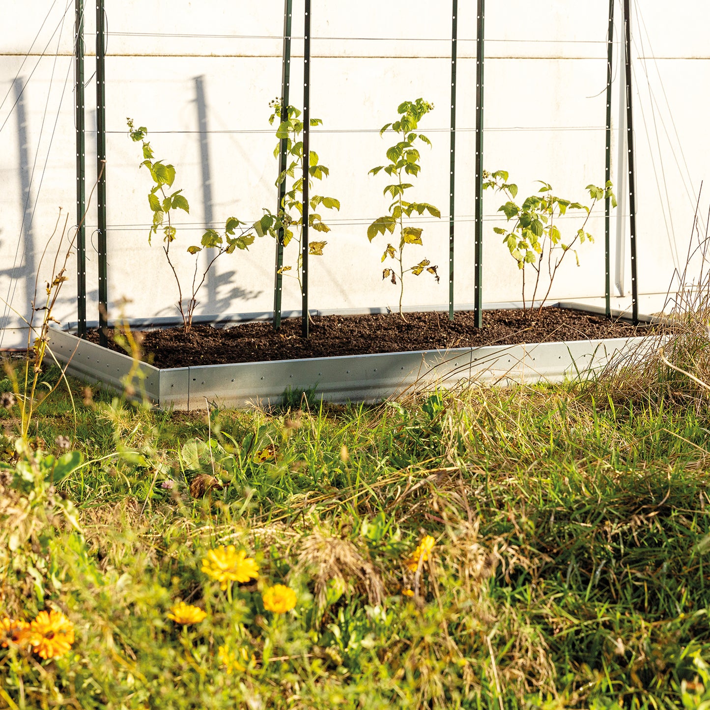 bellissa Eckteil zu Beeteinfassung Pro 13; L 13 x B 10 x H 13 cm, 1 mm verzinkter Stahl