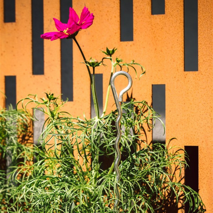 bellissa Mainau Dahlien Stütze