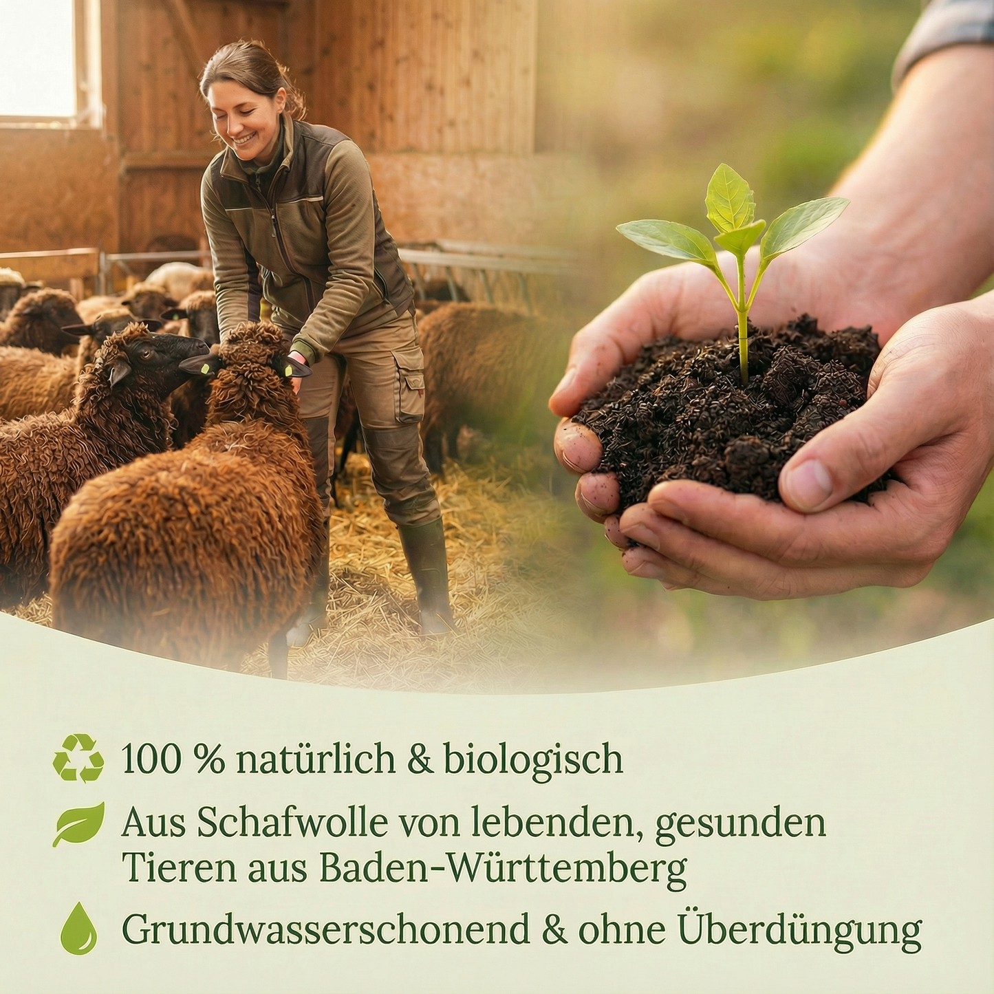 GartenAZ Bio Schafwollpellets – 4kg– Natürlicher Langzeitdünger & Bodenaktivator für Garten & Hochbeet