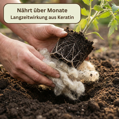 GartenAZ Düngewolle 1kg aus Schafwolle – Langzeitdünger & Mulch - ID: 70656813629814