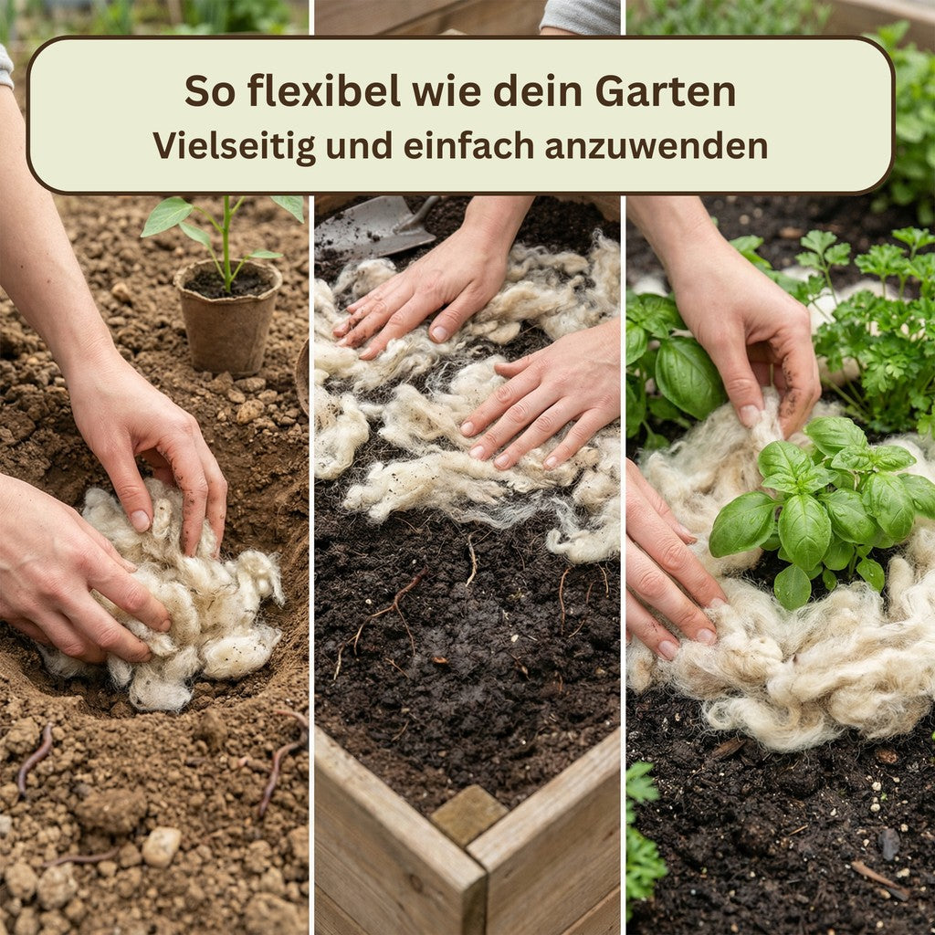GartenAZ Düngewolle 1kg aus Schafwolle – Langzeitdünger & Mulch - ID: 70409061368182