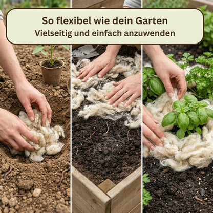 GartenAZ Düngewolle 1kg aus Schafwolle – Langzeitdünger & Mulch - ID: 70409061368182