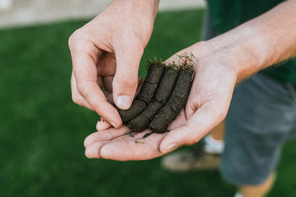 GartenAZ Hand Aerifizierer für Rasen - Aerifiziergabel + 3er Spoons & Auffangwanne