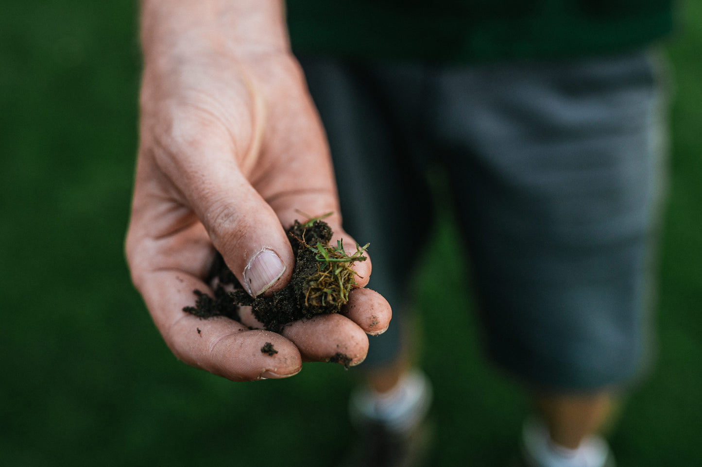GartenAZ Hand Aerifizierer für Rasen - Aerifiziergabel + 3er Spoons & Auffangwanne