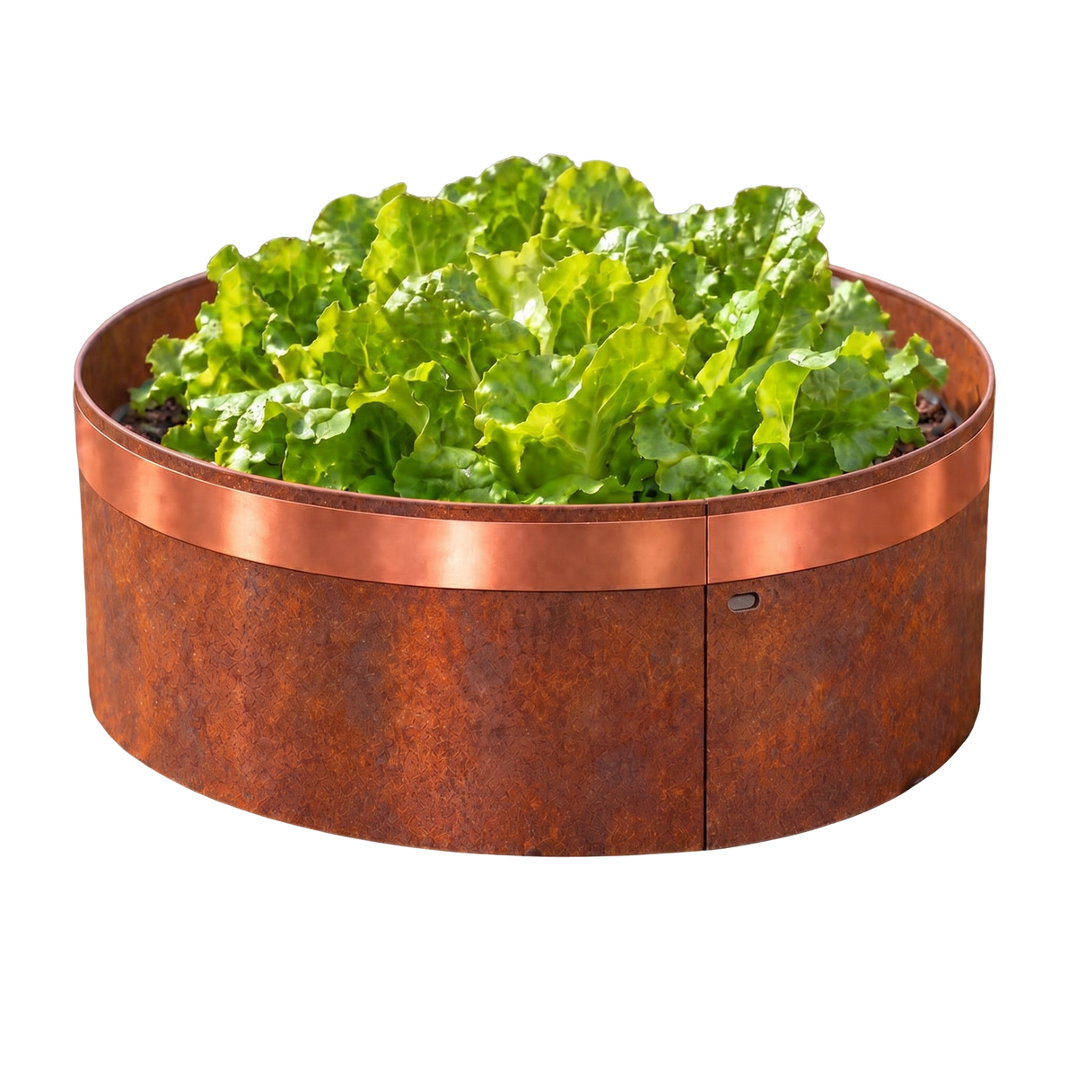 bellissa Schneckenkragen Ø40 cm mit Kupferband verzinkt/Corten: Corten – 3 Stück - ID: 71520656753014