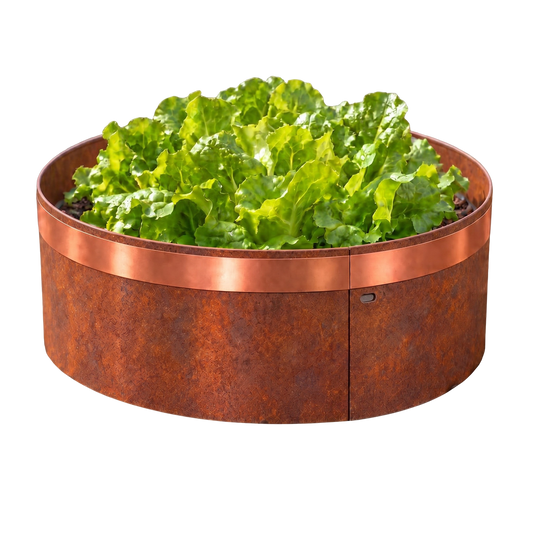 bellissa Schneckenkragen Ø40 cm mit Kupferband verzinkt/Corten: Corten – 3 Stück