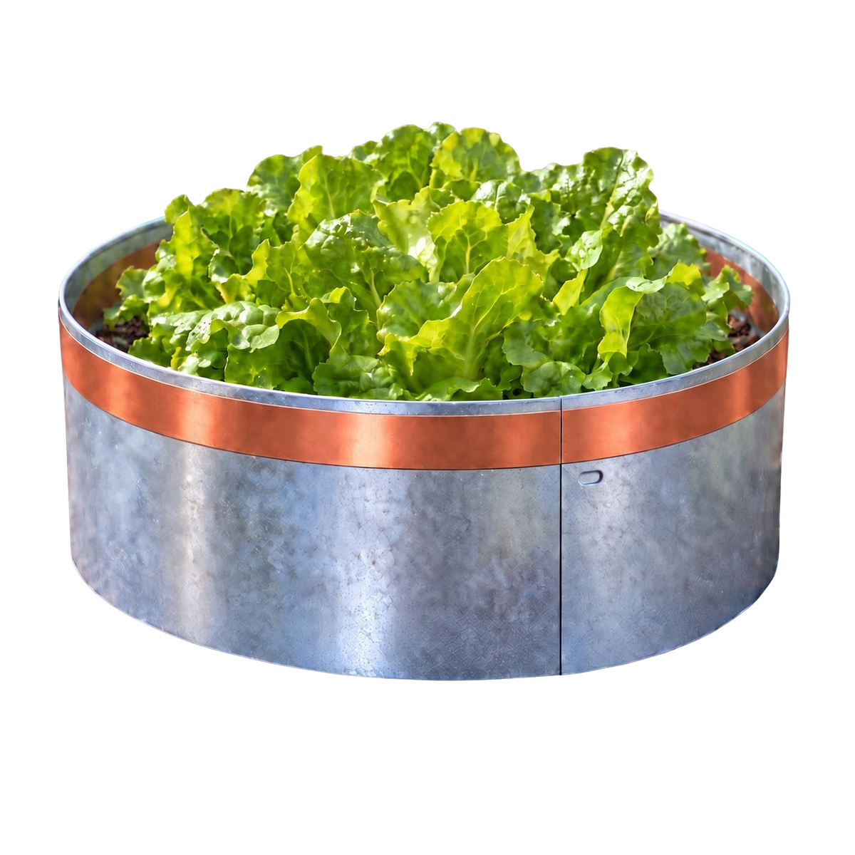 bellissa Schneckenkragen Ø40 cm mit Kupferband verzinkt/Corten: Verzinkt – 3 Stück - ID: 71520645448054